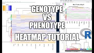 Heatmap with Dendrogram in R Tutorial [upl. by Hsemin]