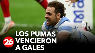 EN VIVO  Los Pumas vencieron a Gales 2917 y clasificaron a semifinales del mundial [upl. by Oremar666]