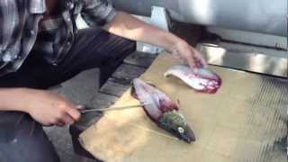 How to Fillet A WalleyePickerel [upl. by Nodnart616]