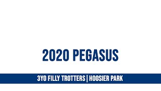 2020 Pegasus  Shisito  3FT [upl. by Eerahs89]