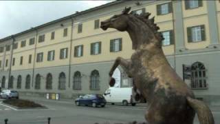 Museo Storico dellArma di Cavalleria di Pinerolo [upl. by Namielus]