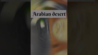 Arebien desert recipe youtubeshorts ytshort [upl. by Suciram]