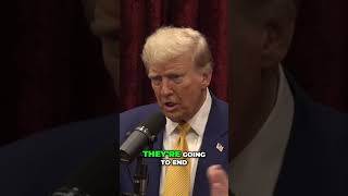 The Harsh Reality of Modern Policing from Joe Rogan Experience 2219  Donald Trump shorts [upl. by Inittirb]