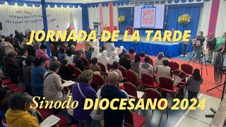 Sinodo Diocesano 2024  Jornada Tarde [upl. by Ielak]