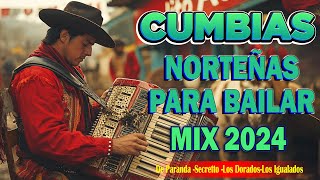 Puras Cumbias Norteñas ✨ Cumbias Norteñas Para Bailar💃🏽 Norteñas Mix 2024 [upl. by Rebme762]