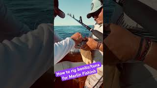 How To Rig Bonito Or Tuna Bait For Giant Marlin Fishing  Black Marlin Fishing In Cabo [upl. by Scharff]