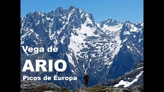 VEGA DE ARIO Lagos Covadonga BuferreraArioMoandiVega MaorBelbinBuferrera PICOS DE EUROPA [upl. by Kellyann]