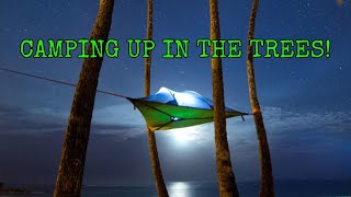 Tentsile Stingray Our First Tree Tent Camping Experience [upl. by Ader873]