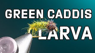 Green Caddis Larva Fly Pattern  Fly Tying Tutorial [upl. by Roseann950]