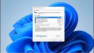 How To Run Disk Cleanup On Windows 11 Tutorial [upl. by Eilatam]