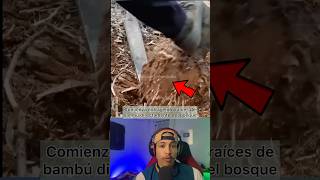 Utensilios hechos con bambú Asombroso 🤯shorts viral parati talento [upl. by Simdars189]