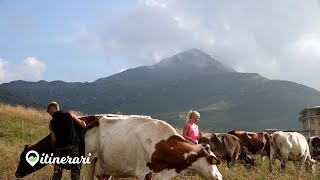 ITINERARI DA ARTAVAGGIO AL GHERARDIDAVIDE E VALERY LA NUOVA VITA DA RIFUGISTI AL CAZZANIGA MERLINI [upl. by Lanor]