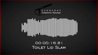 Toilet Lid Slams  HQ Sound Effects [upl. by Ihcego]