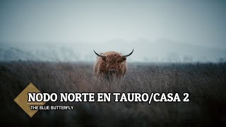 Nodo Norte en TauroCasa 2 en la carta natal ♉🦋 [upl. by Iralam]