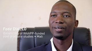 WAAPP Scholarship program  How CORAF helped educating a new generation of agricultural researchers [upl. by Abbotsen319]