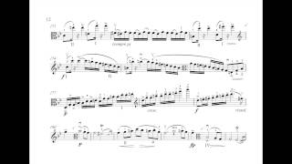 F Schubert Arpeggione  New Transcription for Viola and Piano [upl. by Nnyliram]