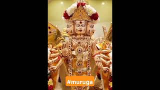 muruga murugansongs muruganthunai lordmuruga velava velvelmuruga velvelvetrivel velmurugan [upl. by Arehc]