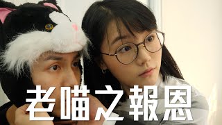 試映劇場《老喵之報恩》｜試當真 [upl. by Hulen439]