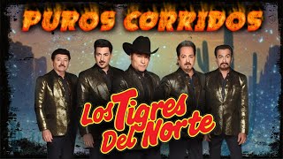 🎶Los Mejores Corridos de Los Tigres del Norte Éxitos Inolvidables🎸🔥 LETRA VIDEO [upl. by Sacttler]