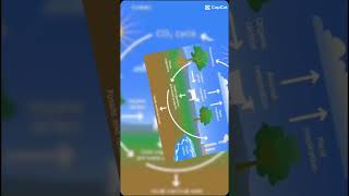 Carbon cycle nature biology botany  Geochemical cycle [upl. by Nylynnej]