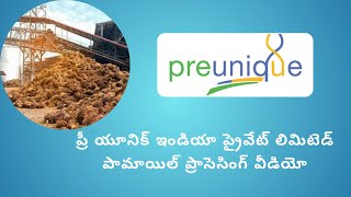 PALM OIL FACTORY PROCESSING  VIDEO IN TELUGU [upl. by Sardse]