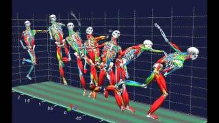 Biomechanical analysis [upl. by Ramar]