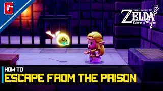 How to Escape from the Prison  Zelda Echoes of Wisdom [upl. by Stone]