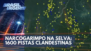 PCC Mais de 1600 pistas clandestinas na Amazônia  Brasil Urgente [upl. by Fugazy193]