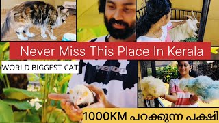 Exotic Farm Villa Thrissur Part  1  Best Tourist place in Kerala  Farm Villa Chavakkad [upl. by Lithea]