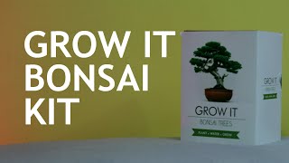 Grow It Bonsai Kit 06 months Part 1 [upl. by Ula]