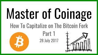 How To Capitalize on The Bitcoin Fork  Part 1  28 July 17 [upl. by Ajidahk333]