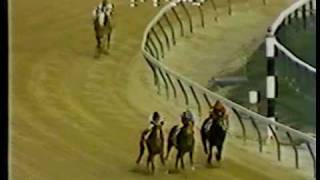 Affirmed vs Alydar  1977 Laurel Futurity 6th Meeting [upl. by Selwyn]