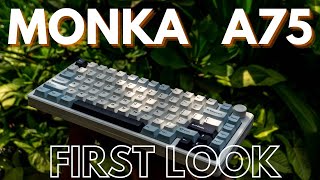 Monka A75  First Look  I am TOTALLY IN LOVE [upl. by Shandy544]