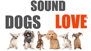 Sound Dogs Love All Time  HQ [upl. by Nandor]