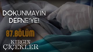 Kızlar mafyanın elinden kurtulabilecek mi  Kırgın Çiçekler 87Bölüm [upl. by Yffub]