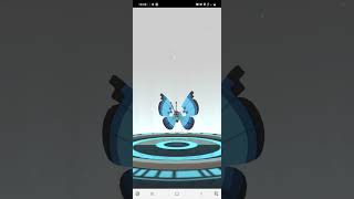 Vivillon Pokemon GO [upl. by Ahsilrae]