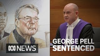 Cardinal George Pells sentencing in full  ABC News [upl. by Eerehs844]