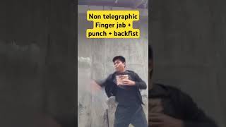 Non telegraphic finger jab  punch  back fist brucelee [upl. by Laurentia106]