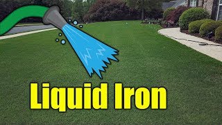 Make Grass Green with Liquid Iron [upl. by Doig]