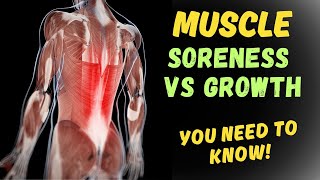 Muscle Soreness And Muscle Growth [upl. by Eustazio59]