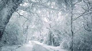 Blizzard Sounds for Sleep Relaxation amp Staying Cool  Snowstorm Sounds amp Howling Wind in the Forest [upl. by Oidivo]