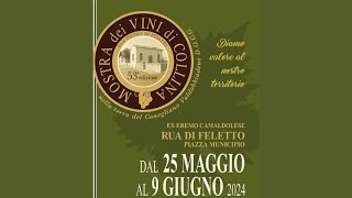 INAUGURAZIONE DELLA 53 MOSTRA DEI VINI DI COLLINA [upl. by Nagad]