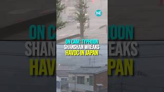 On Cam Typhoon Shanshan Wreaks Havoc In Japan Knocks Out Power In Some Parts [upl. by Karissa]