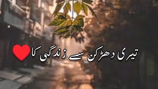 Teri Dharkan Se Zindagi Ka  Love Sad Shero Shayari Status 2024 [upl. by Ecnatsnoc990]