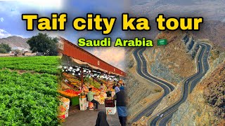 Taif city Saudi Arabia 🇸🇦  taif city urdu  Abdul Latif chohan [upl. by Boor768]