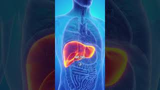 Your Liver Can Actually Regrow 👉 [upl. by Mikahs]