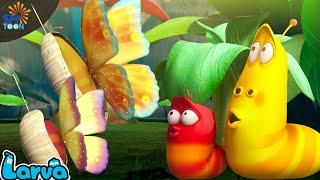 Larva Animation New Episodes 2025  Grow Wings  Best Cartoons 2024  Comics  Cartoon Compilation [upl. by Fridell]