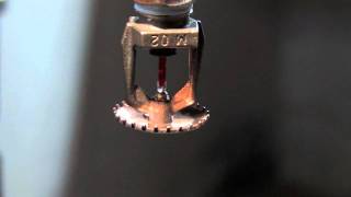 Fire Sprinkler activation Watch in HD [upl. by Houlberg59]