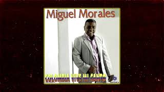 Llegaste A Mi Vida  Miguel Morales Audio [upl. by Trembly213]