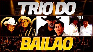 Trio Do Bailão  Os Melhores Do Bailão Gino E Geno  Rio Negro E Solimoes  Teodoro E Sampaio [upl. by Carolan]